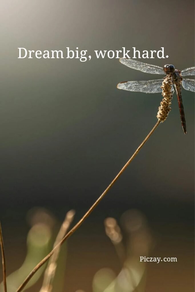 focus on your future quotes (14)