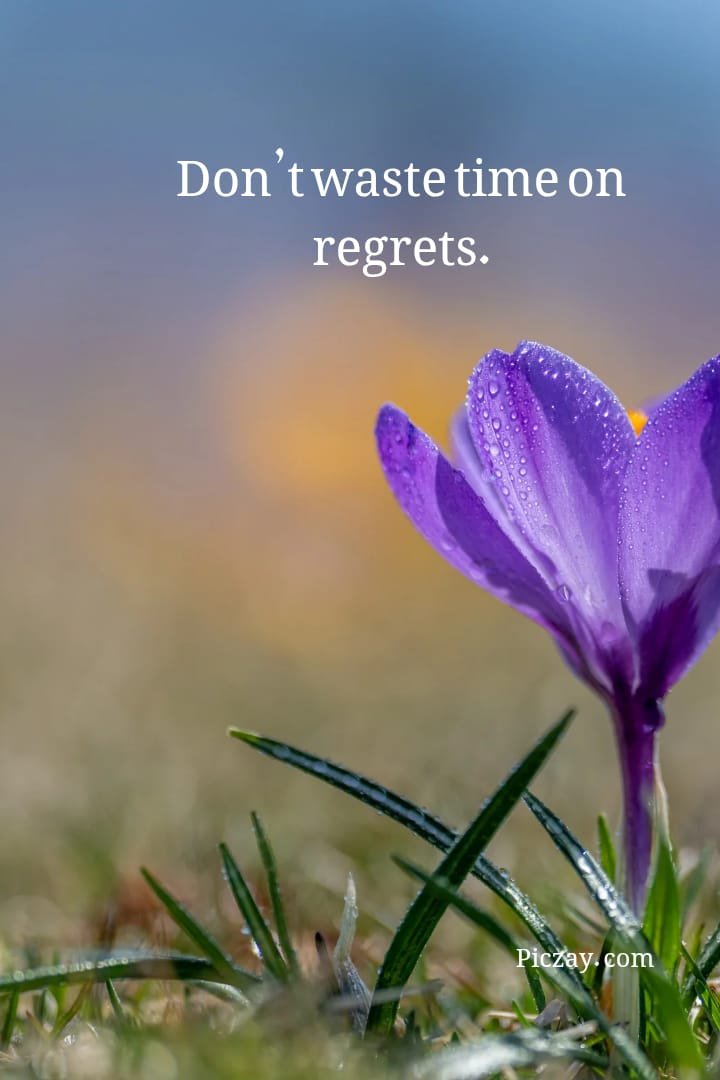 focus on your future quotes (10)