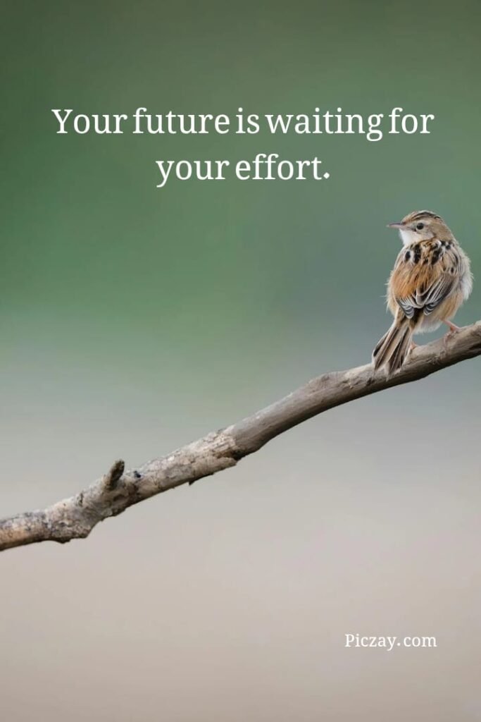 focus on your future quotes (8)