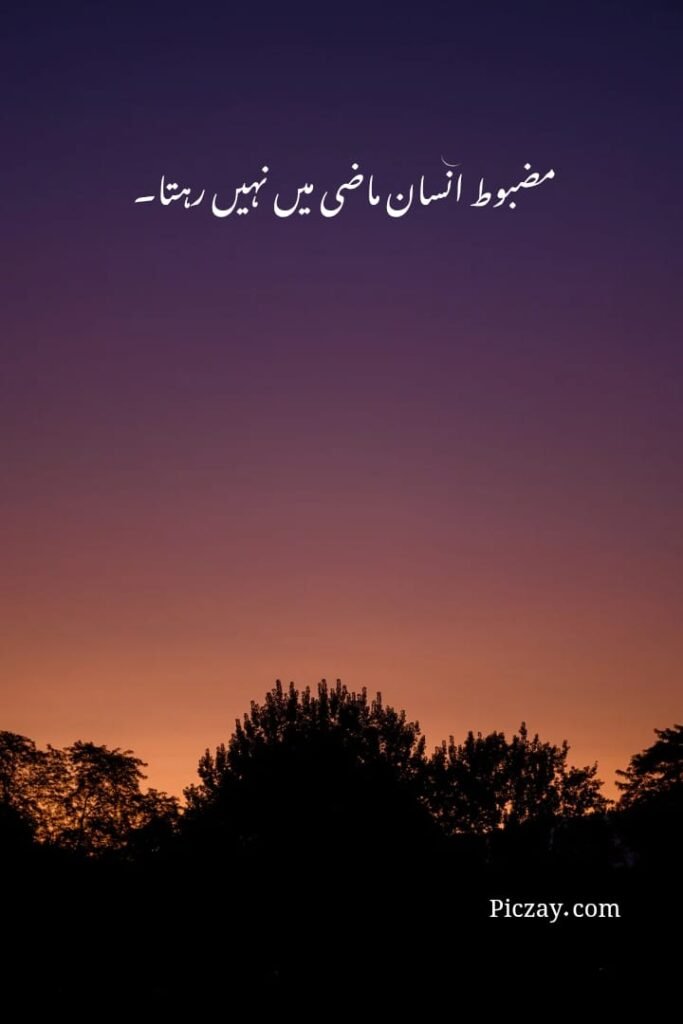 life motivational quotes urdu (12)