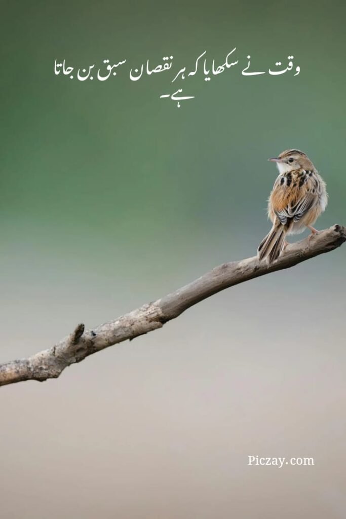 life motivational quotes urdu (14)