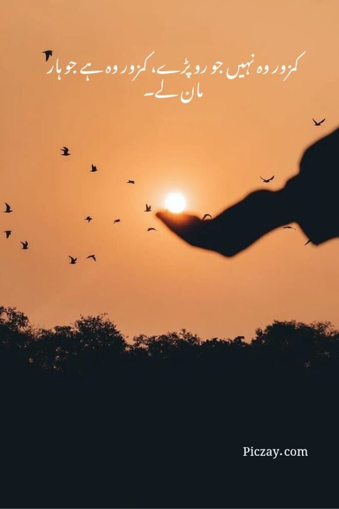 life motivational quotes urdu (15)