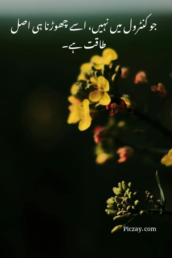 overthinking control quotes (3)