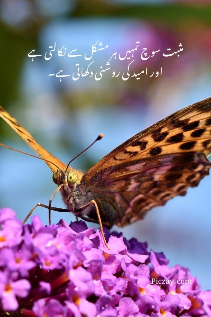 positive thinking urdu quotes (11)