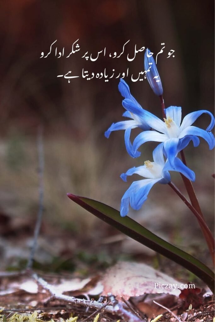 positive thinking urdu quotes (12)