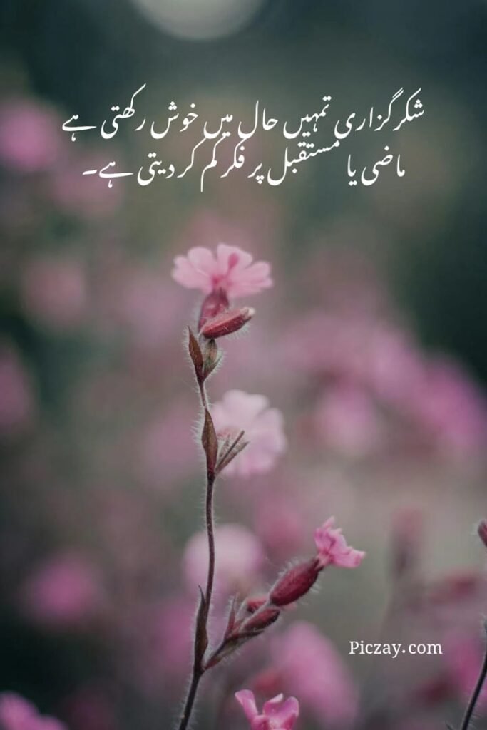 positive thinking urdu quotes (14)