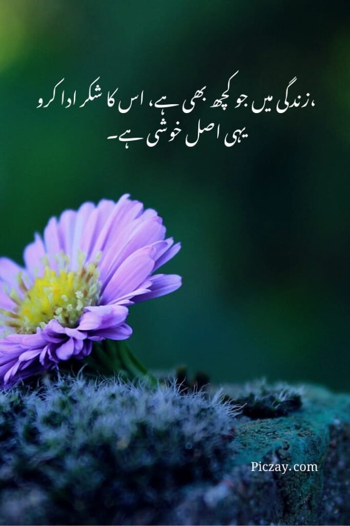 positive thinking urdu quotes (17)