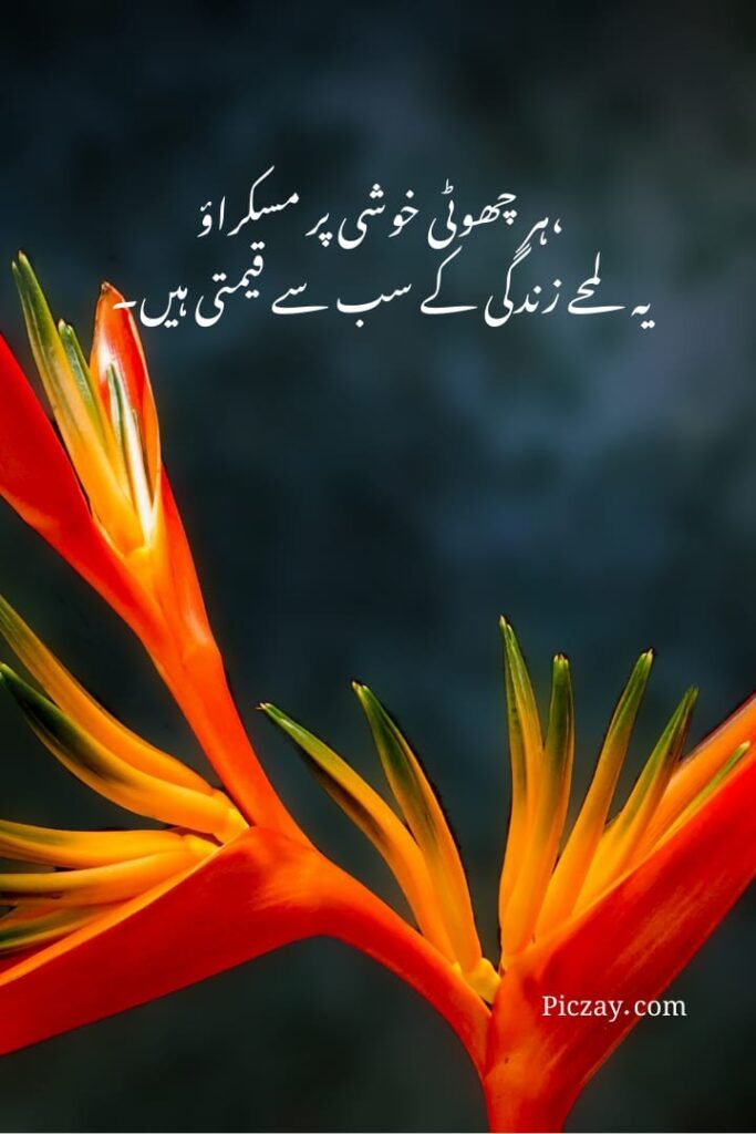 positive thinking urdu quotes (18)