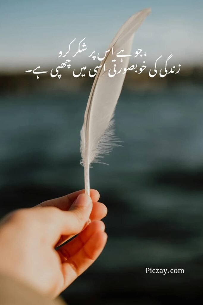 positive thinking urdu quotes (20)