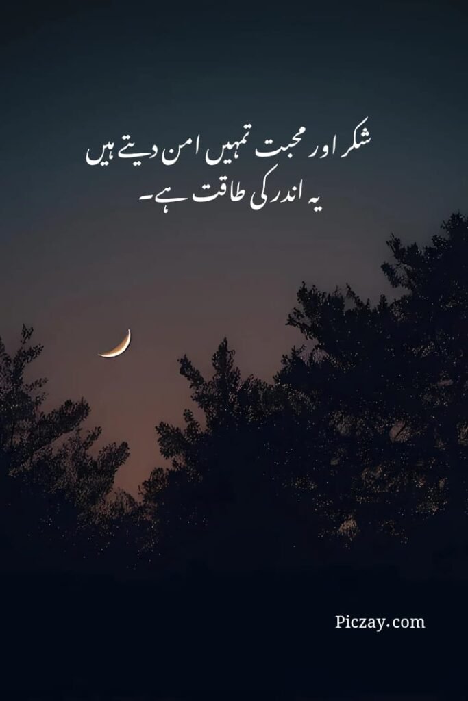 positive thinking urdu quotes (4)