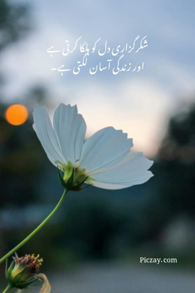 positive thinking urdu quotes (7)